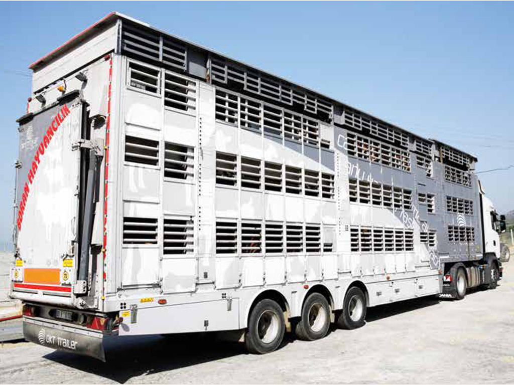 OKT Trailer canlı hayvan taşıma aracı ile hem hayvanları koruyor hem de müşterilerine kazandırıyor